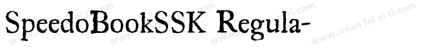 SpeedoBookSSK Regula字体转换